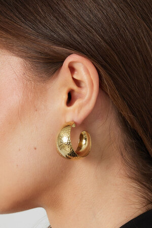 Earrings moon relief - gold h5 Picture3