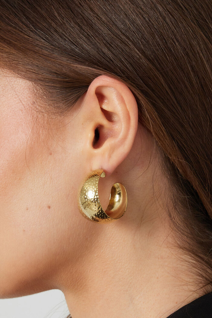 Boucles d'oreilles relief lune - argent Image3