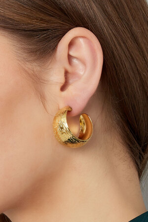 Earrings moon brushed - gold h5 Picture7