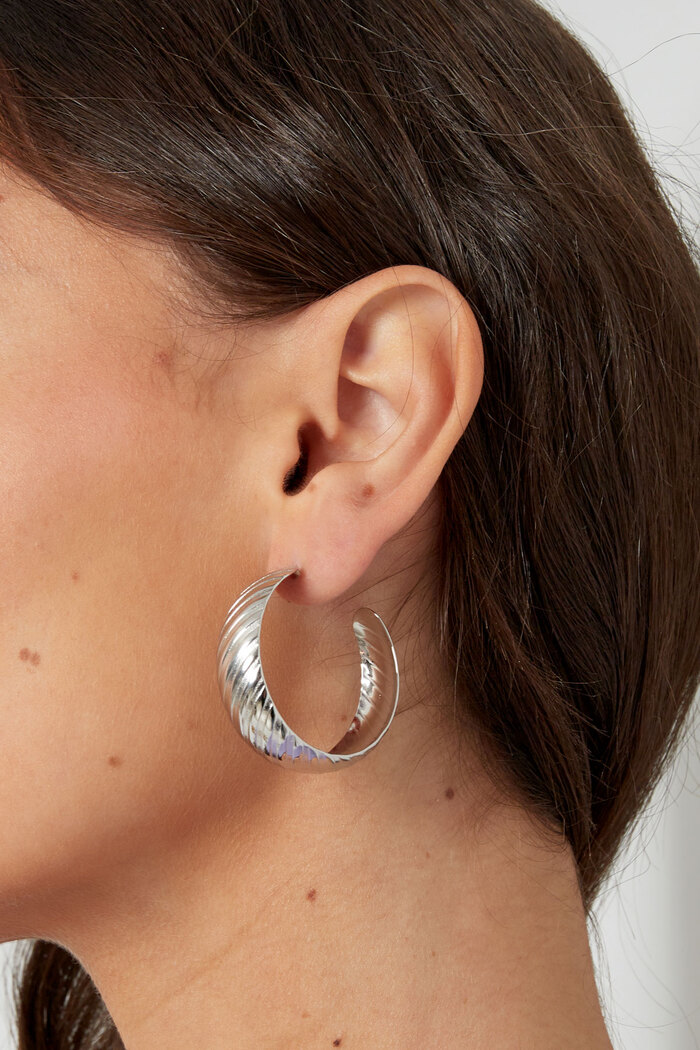 Earrings stripe detail - silver Picture3