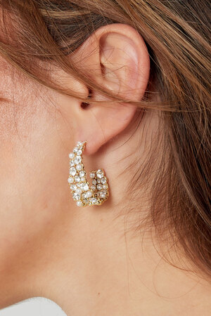 Boucles d'oreilles demi lune scintillantes argent - zircon cuivre h5 Image3