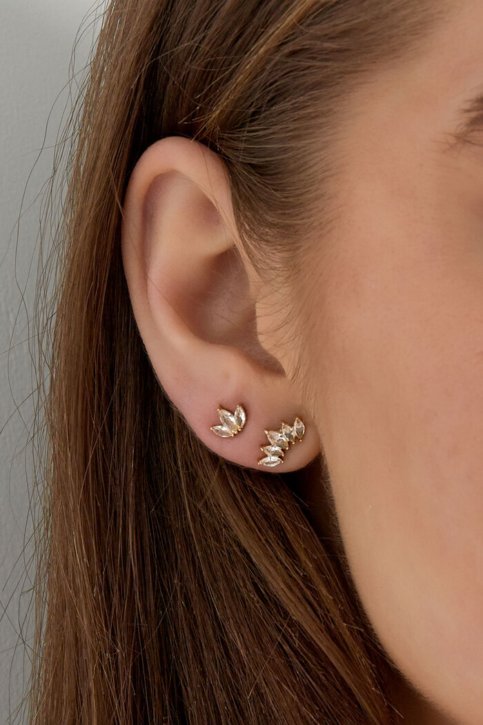 Puces d'oreilles avec cinq diamants - or  Image3