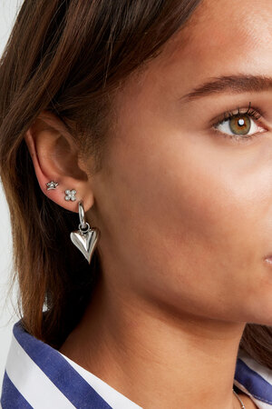 Boucles d'oreilles trèfle avec pierres - argent h5 Image2