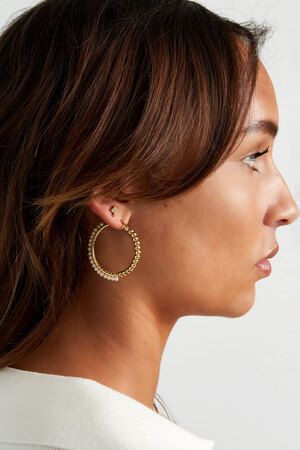 Chic earring with double rhinestones - gold h5 Picture4