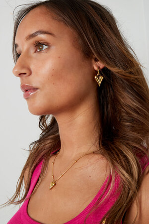 Boucles d'oreilles avec pendentifs coeur medium - argent h5 Image2