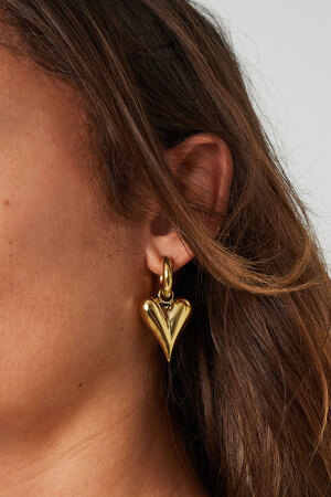 Boucles d'oreilles avec pendentifs coeur grand - argent h5 Image3