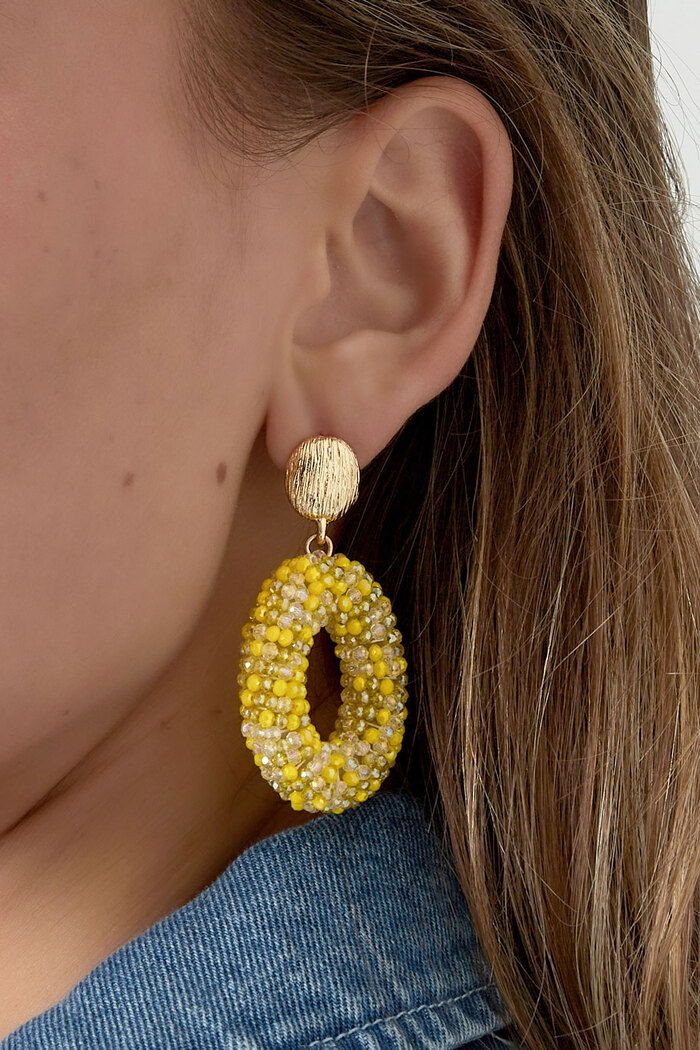 Oval disco dip earring - multi Picture3