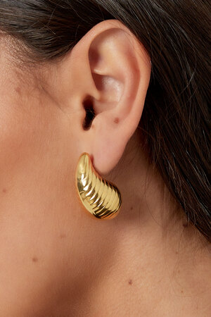 Boucles d'oreilles structurées pendantes - argent h5 Image3