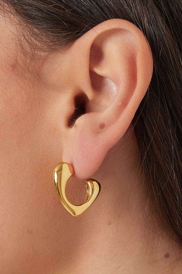Boucles d'oreilles grosses formes - argent Image3