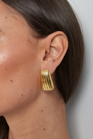 Simple stripe earrings - gold h5 Picture3