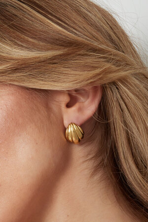 Shell earrings - gold h5 Picture3