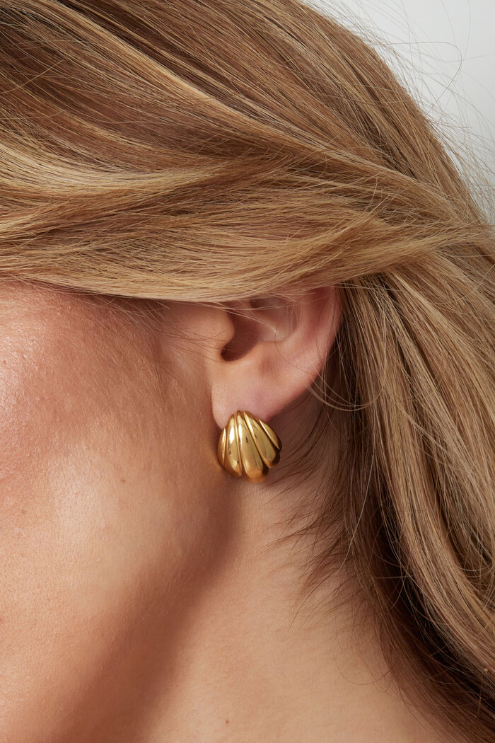 Boucles d'oreilles coquillage - doré Image3