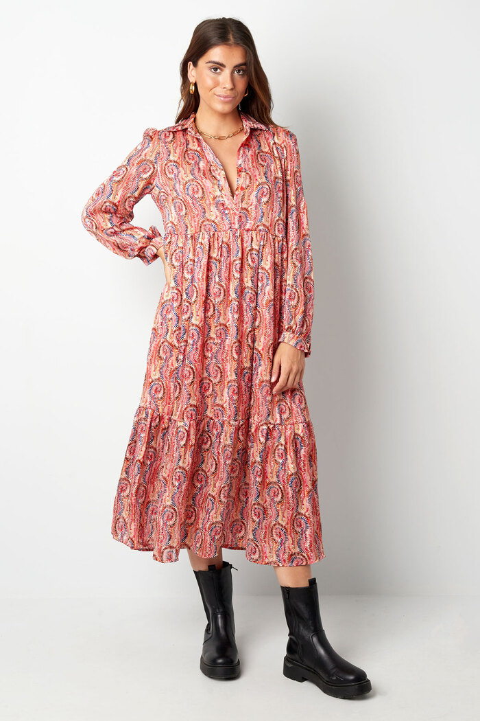 Dress paisley print pink multi Picture3