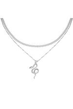 Silver / Necklace Chained Snake Silver Stainless Steel 