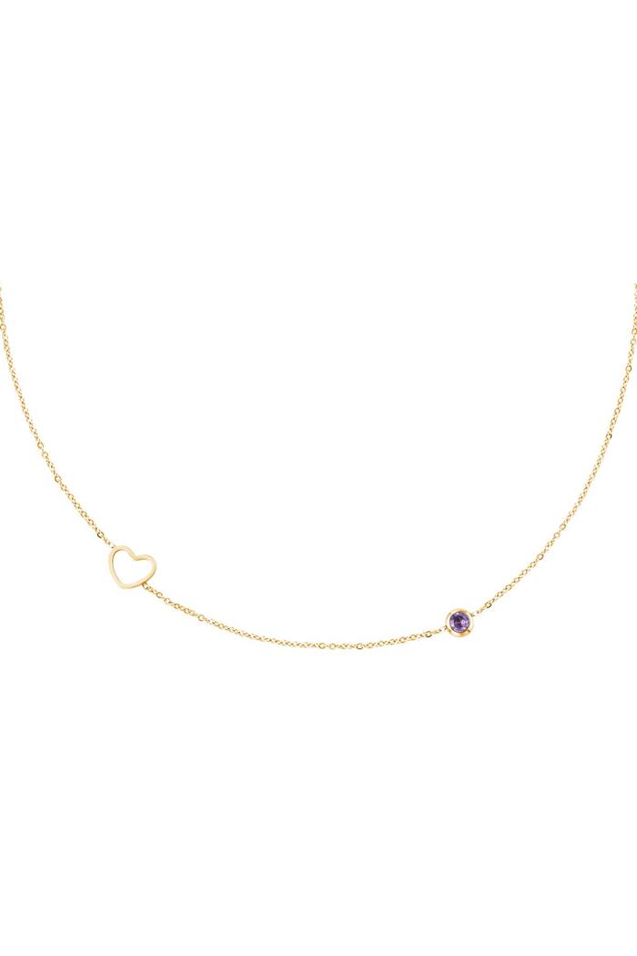 Birthstone necklace February gold Purple Stainless Steel 