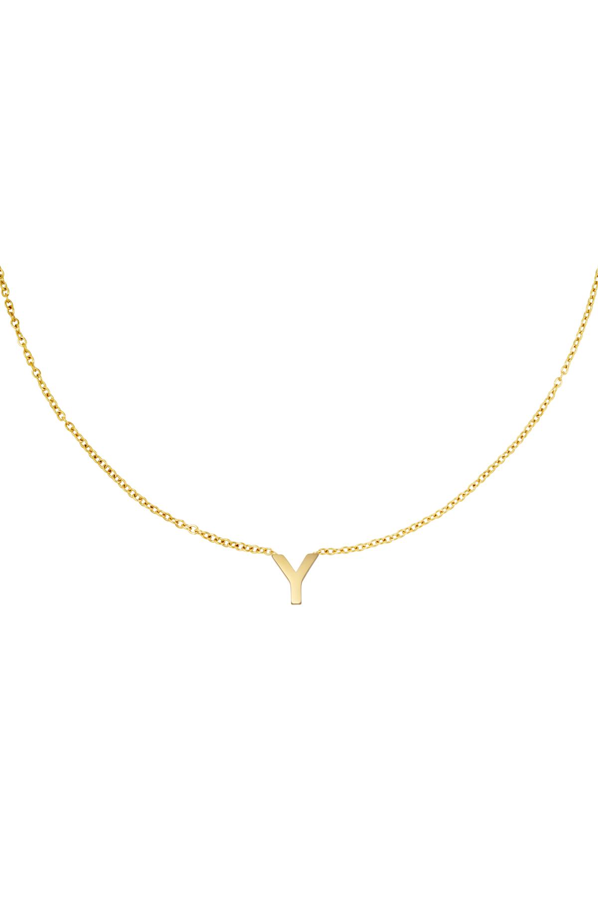 Gold / Stainless steel necklace initial Y Gold Picture25