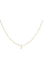 Gold / Stainless steel necklace Half Moon Gold 