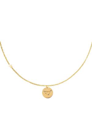 Necklace zodiac sign Capricorn Gold Stainless Steel h5 