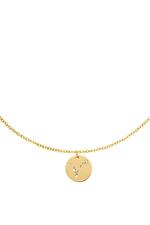 Gold / Collana zodiaco Pesci Gold Stainless Steel Immagine3