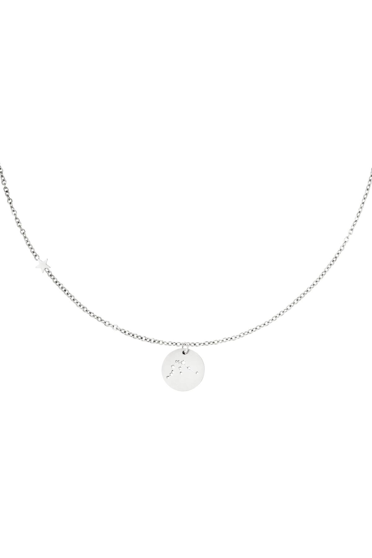 Necklace zodiac sign Acquarius Silver Stainless Steel