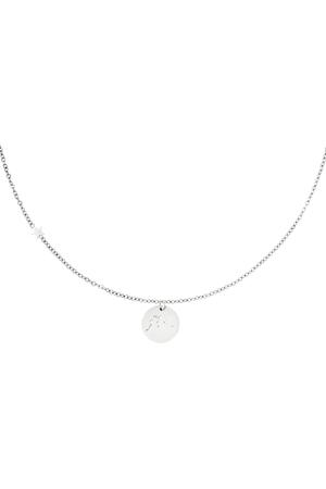Necklace zodiac sign Acquarius Silver Stainless Steel h5 