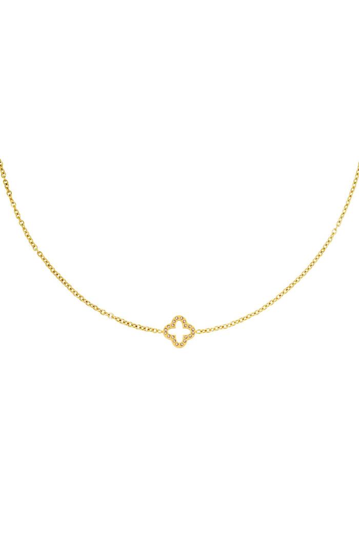 Necklace clover zircon Gold Stainless Steel 