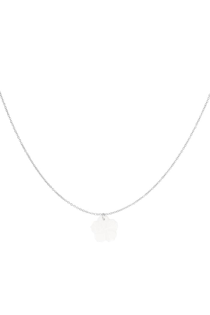 Necklace flower shell - Beach collection Silver Stainless Steel 