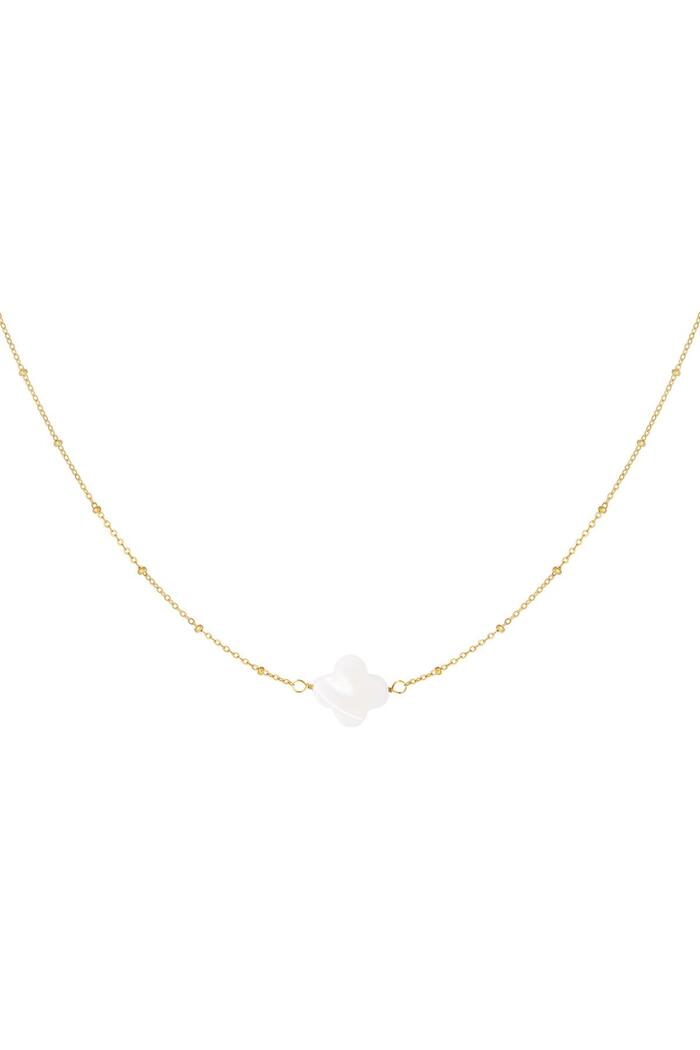 Necklace seashell clover Gold Stainless Steel 