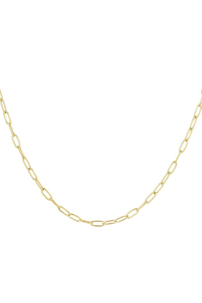 Link chain basic Gold Stainless Steel 
