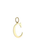 Gold / Charm C Gold Stainless Steel Picture4