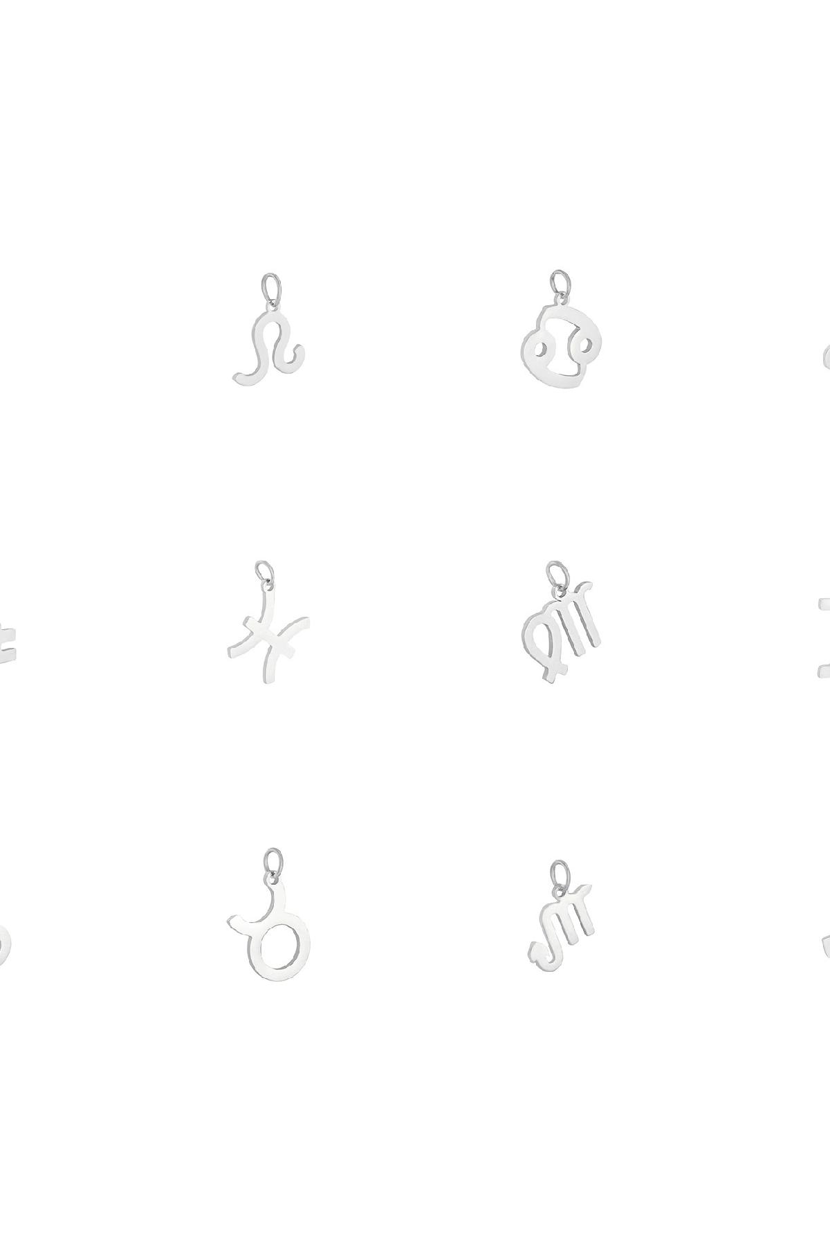 Charm Zodiac Taurus Silver Color Stainless Steel