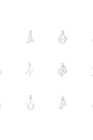 Charm Zodiac Aquarius Silver Stainless Steel h5 Picture2