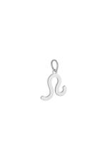 Silver / Charm Zodiac Leo Silver Stainless Steel Picture21