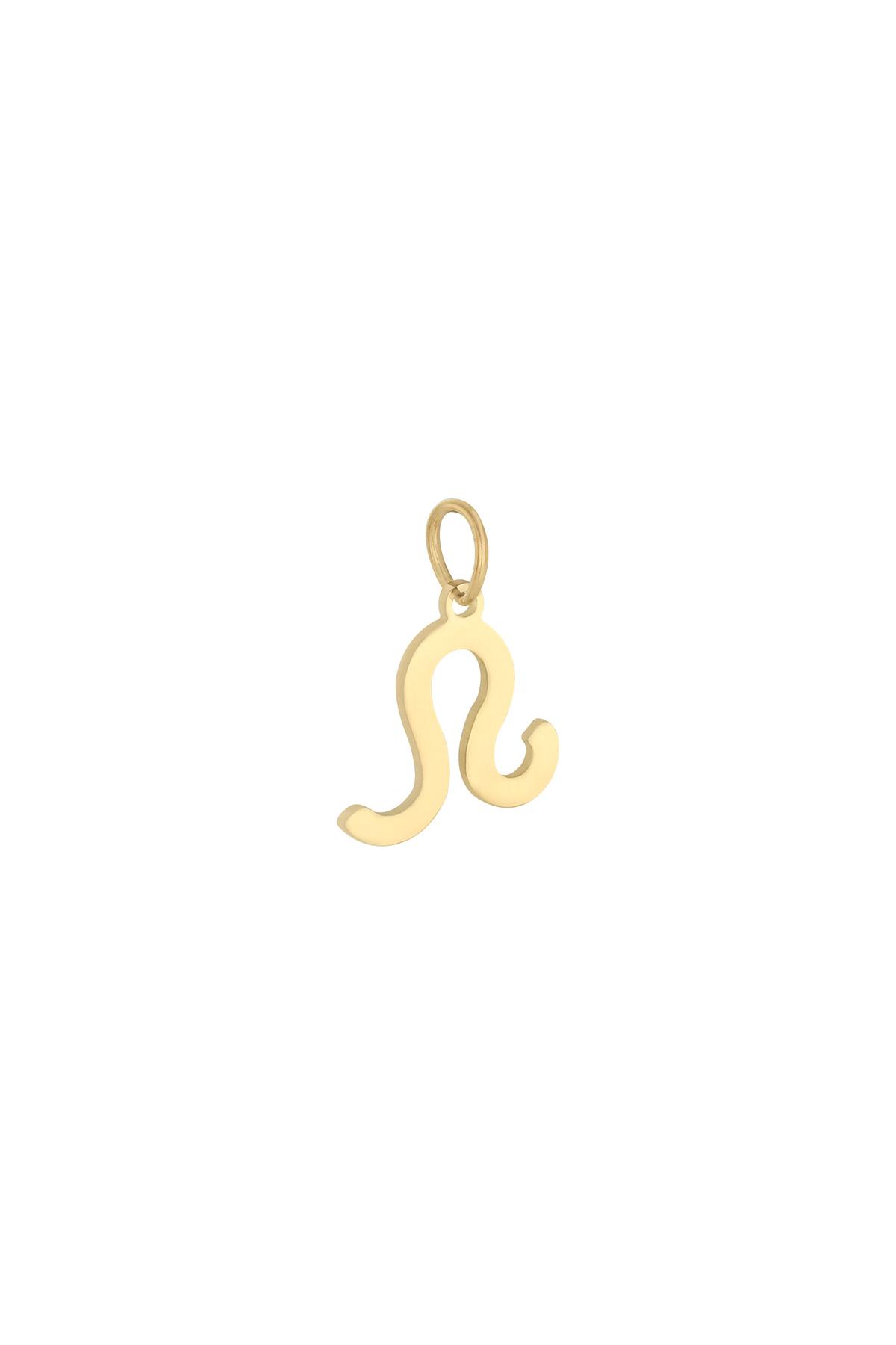 Gold / Charm Zodiac Leo Gold Stainless Steel Picture14