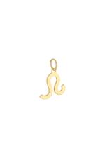 Gold / Charm Zodiac Leo Gold Stainless Steel Picture13