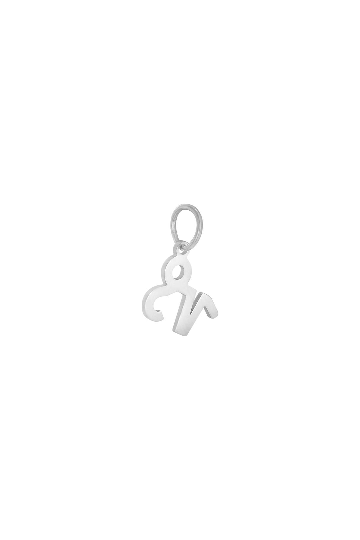 Charm Zodiac Capricorn Silver Stainless Steel 