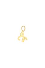 Gold / Charm Zodiac Capricorn Gold Stainless Steel Picture14