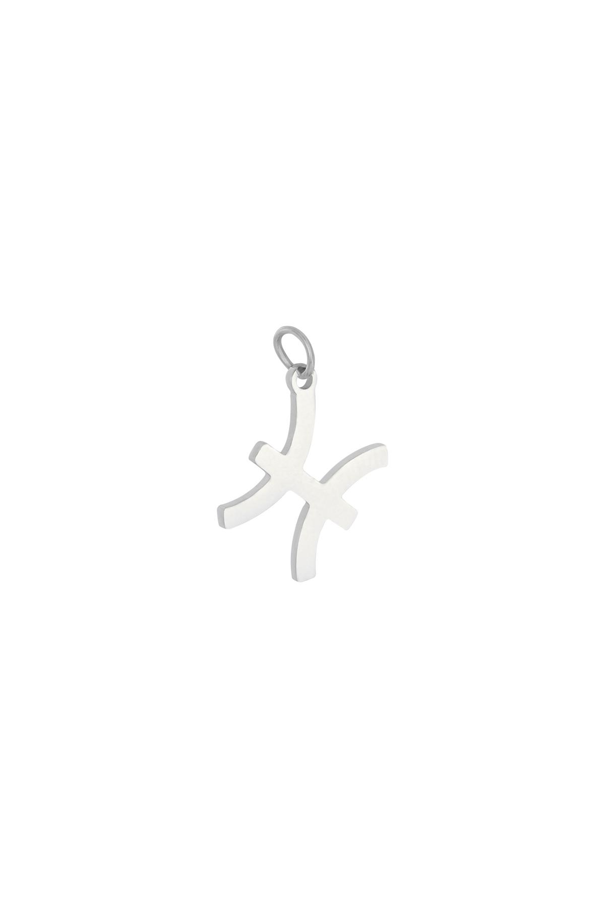 Charm Zodiac Pisces Silver Stainless Steel 