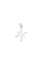 Silver / Charm Zodiac Pisces Silver Stainless Steel Immagine10