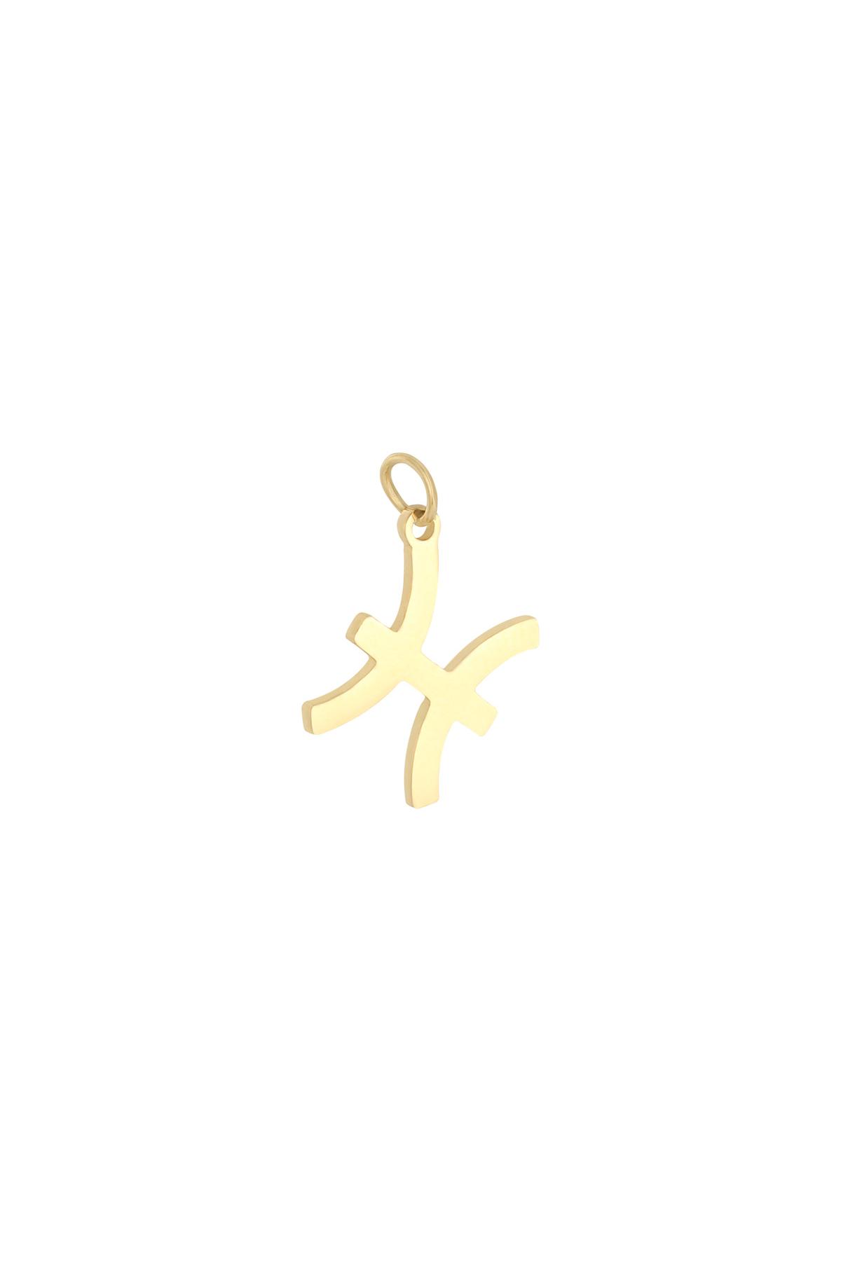 Gold / Charm Zodiac Pisces Gold Stainless Steel Picture13