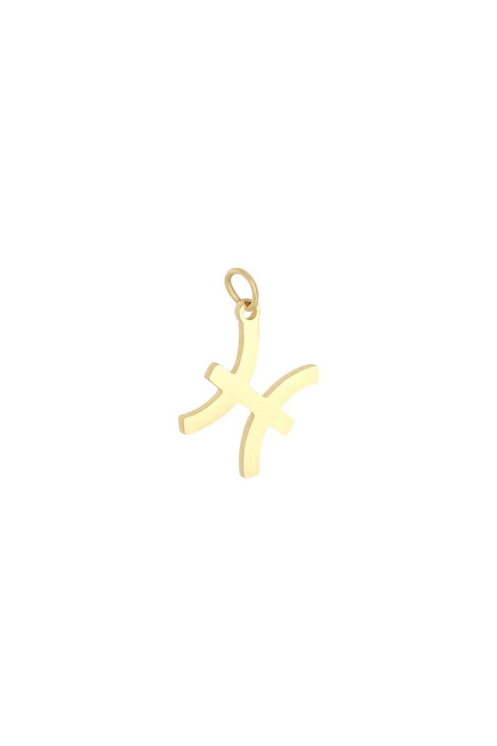 Charm Zodiac Pisces Goud Stainless Steel 