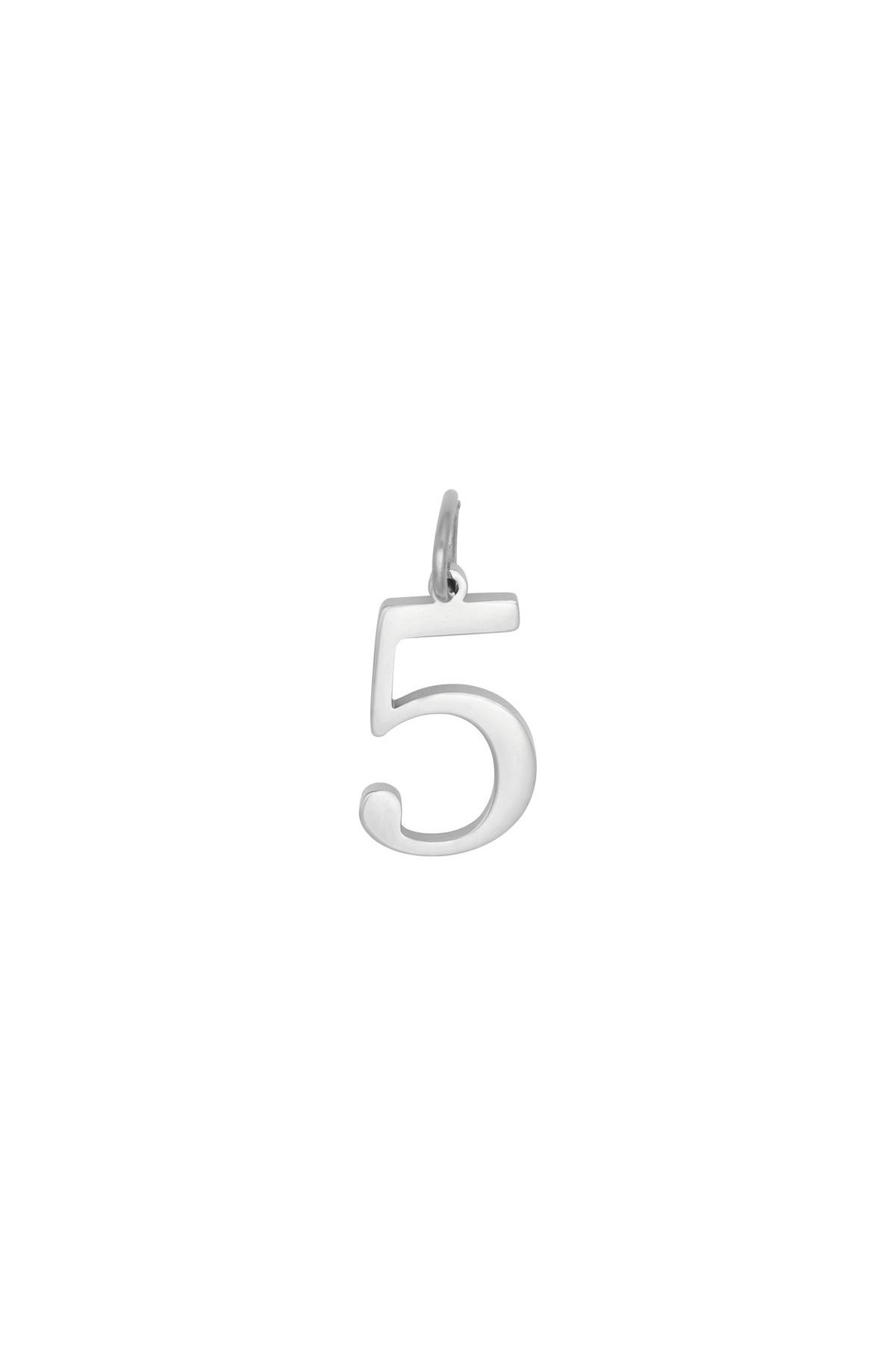 Silver / DIY Charm Digits Silver - 5 Stainless Steel Picture9