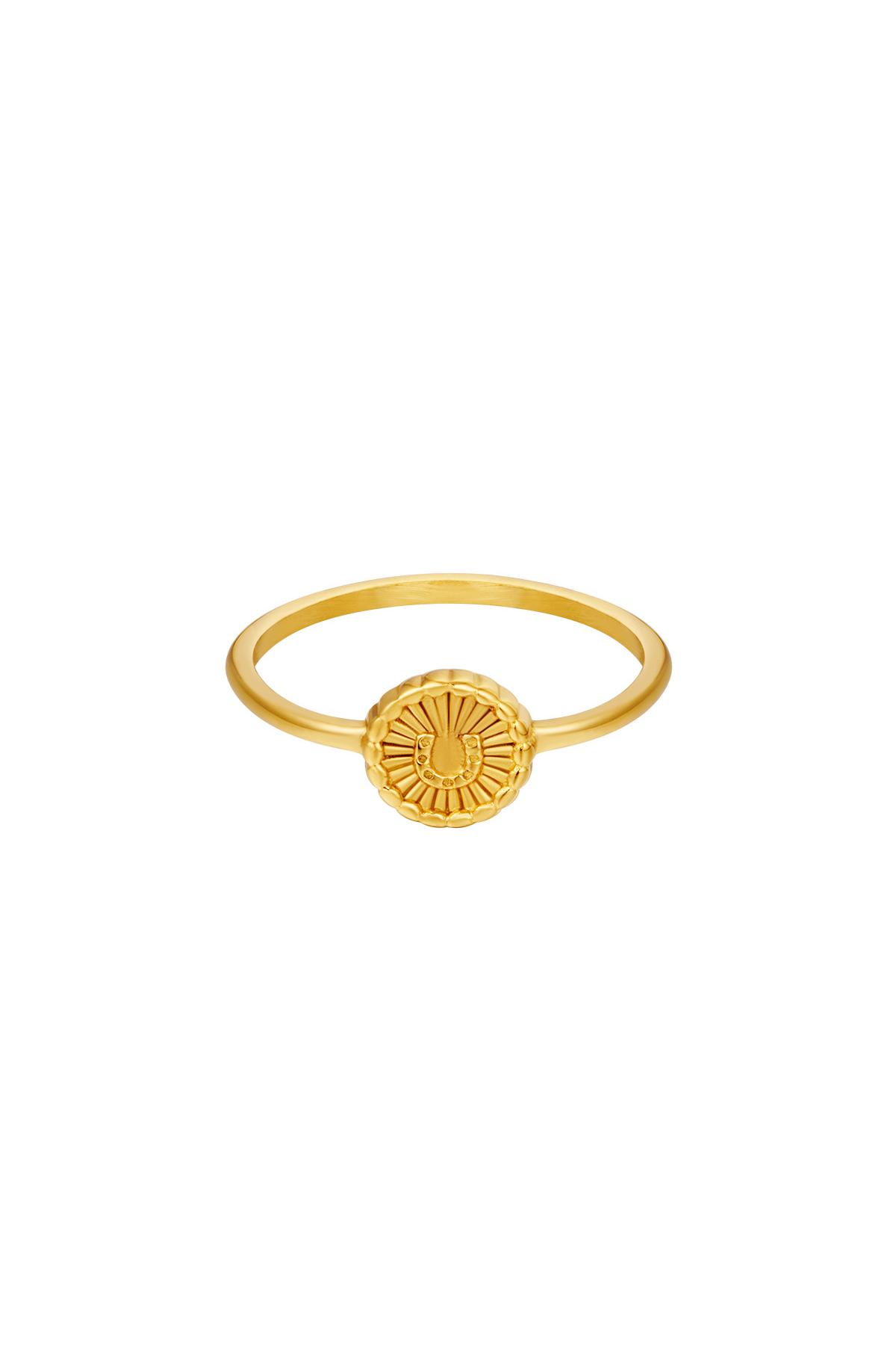 Ring strahlendes Hufeisen Gold Edelstahl 16