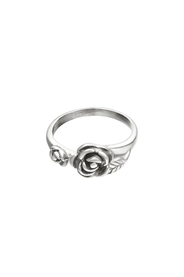 Ring rose Silver Stainless Steel 17 