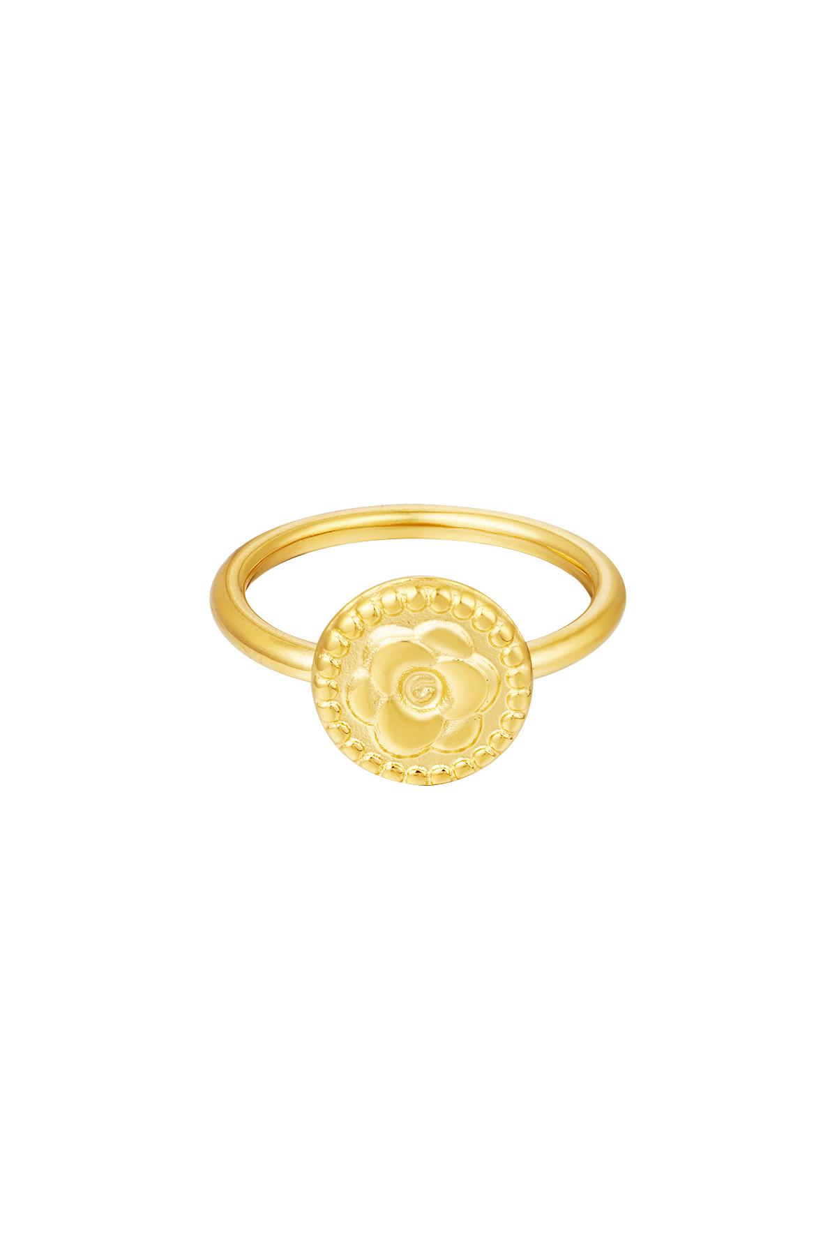 Edelstahlring Gold 16