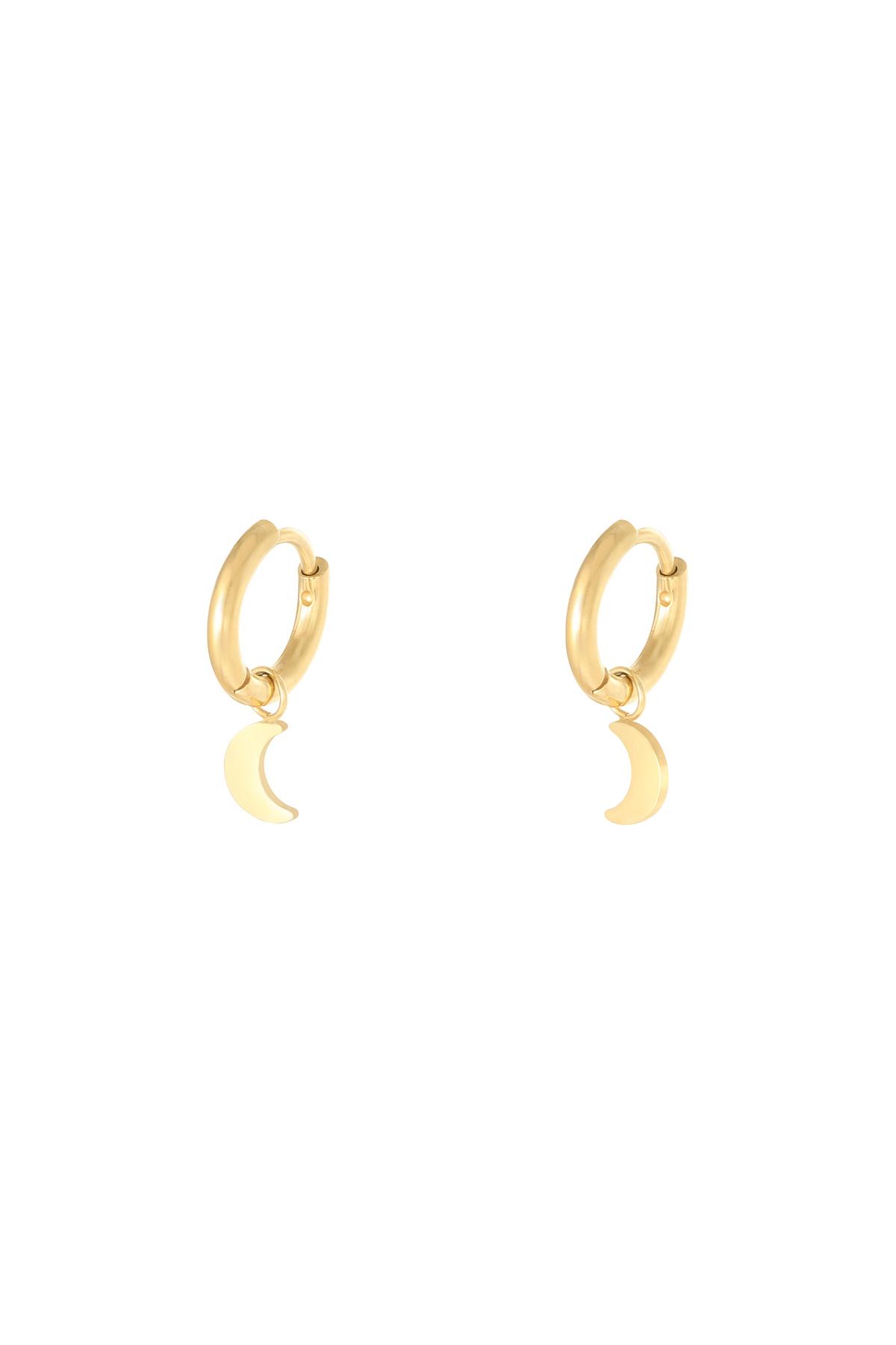 Earrings Moon Gold Stainless Steel h5 