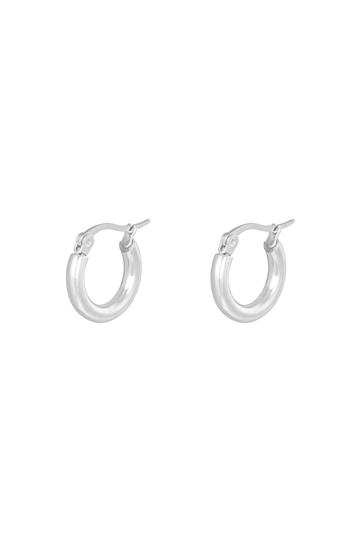 Earrings Hoops Smooth 15 mm Silver Color Stainless Steel 2