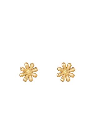 Earrings Shiny Diasy Gold Stainless Steel h5 