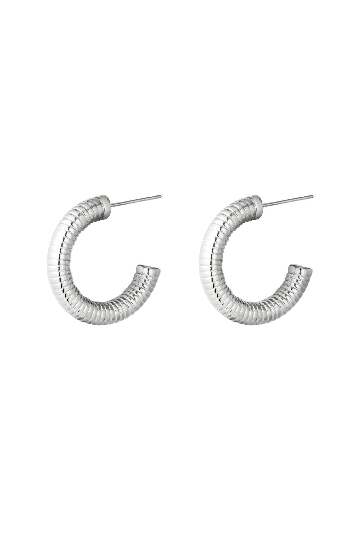 Silver / Earrings Hoops Spring Silver Stainless Steel 