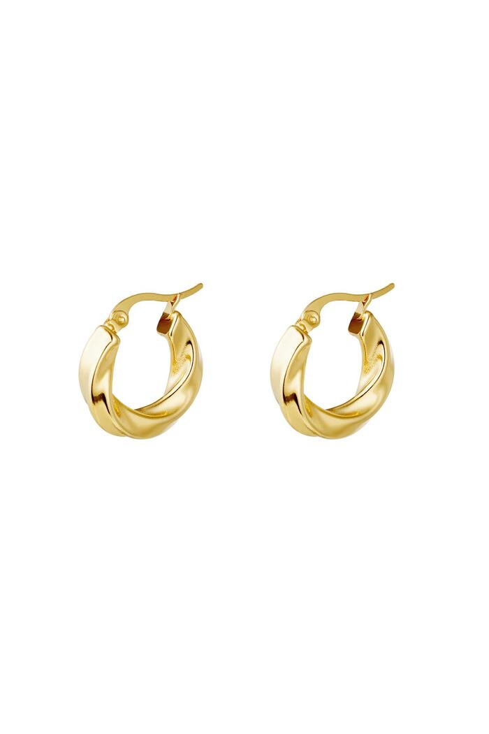 Earrings Hoops Swirl Gold Stainless Steel 